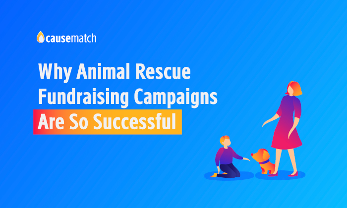 Animal Rescue Fundraising