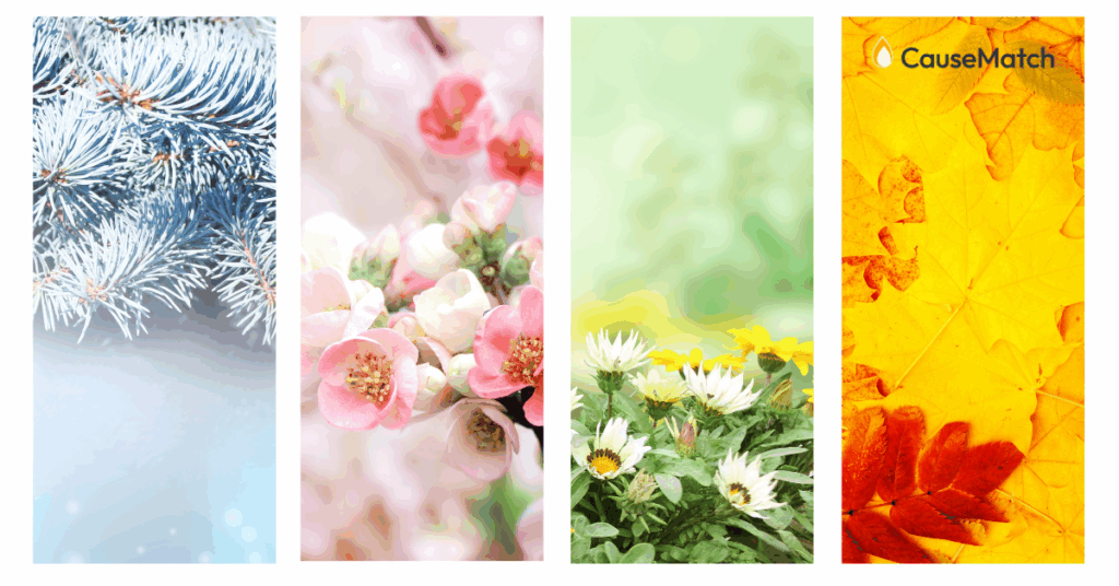 pictures of leaves throughout all four seasons: winter, spring, summer, fall